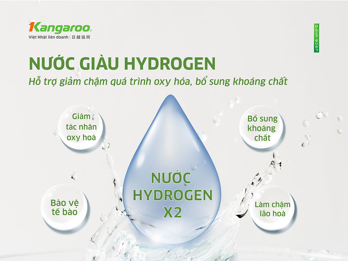 Máy lọc nước Kangaroo Hydrogen KG12S1H1