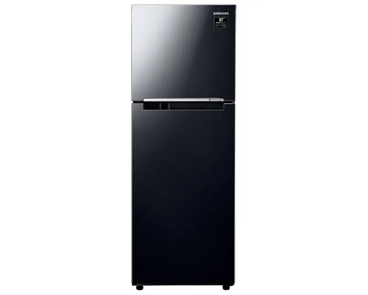 Tủ lạnh Samsung Inverter 236 Lít RT22M4032BU/SV
